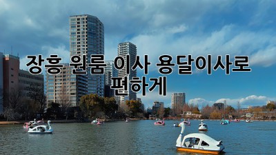 장흥 원룸 이사, 용달이사로 편하게!